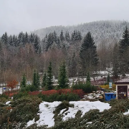 Czarna Gora T17 Апартаменты