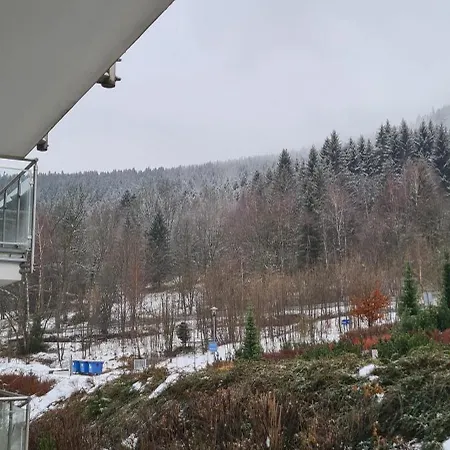 Czarna Gora T17 Апартаменты *