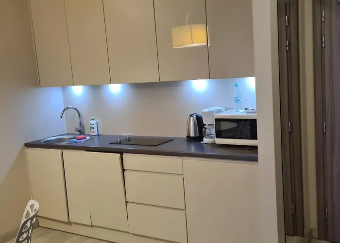 Apartment Czarna Gora T17 Sienna (Klodzko)