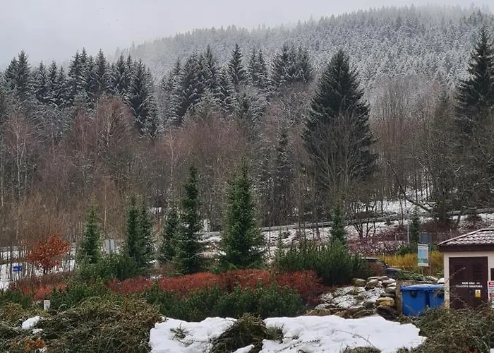 Czarna Gora T17 Apartment