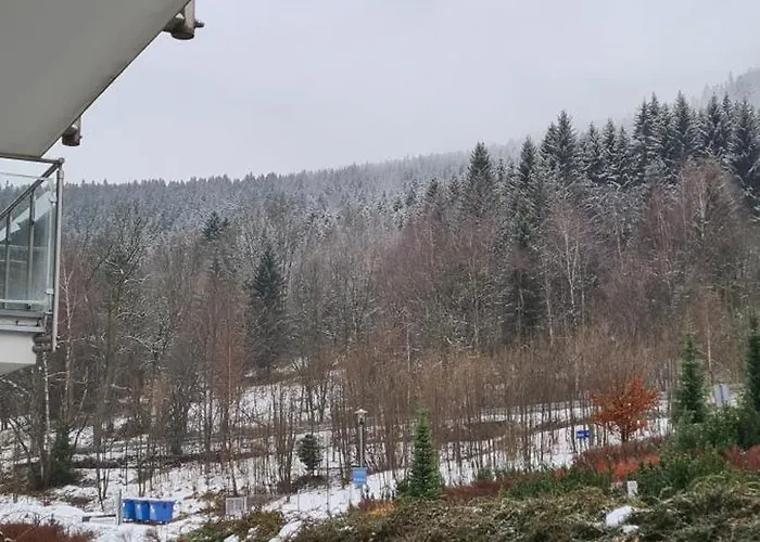 Czarna Gora T17 Apartment *